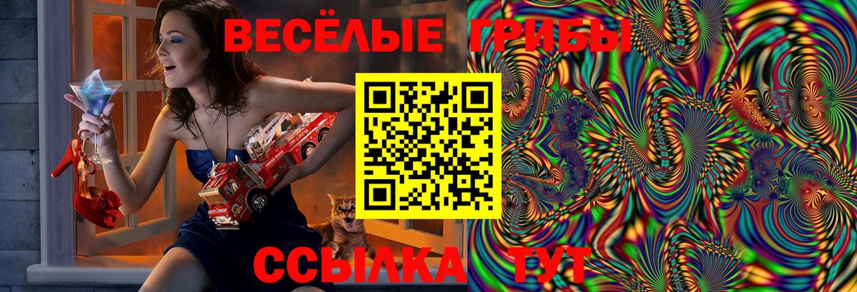 Галлюциногенные грибы Psilocybe Урус-Мартан